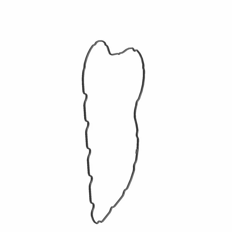 GASKET-PRIMARY COVER