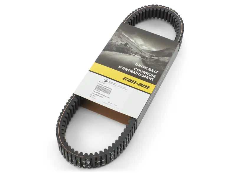 Can-Am Drive Belt