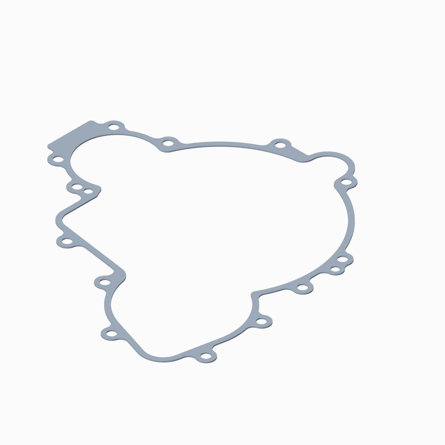 Polaris Cover Gasket 5814160