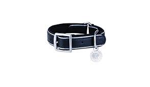 DOG COLLAR-S/M